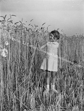 GIRL IN REED BED